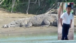 Oyun oynayan çocuğu nehirden çıkan timsah yedi