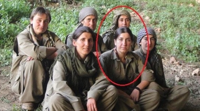 PKK'nın hareminden sorumlu terörist öldürüldü