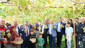 Seydikemer'de Bağbozumu Şenliği! Kazanlarda pekmez kaynadı