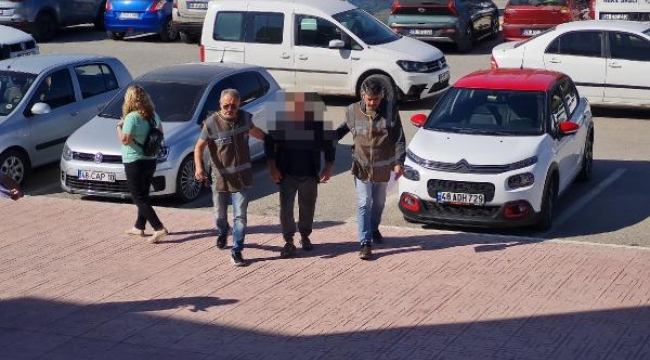 Tavuklarına saldıran köpekleri zehirle öldürdü