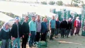 Üzüm kesimini bırakıp Ata'ya saygı duruşunda bulundular