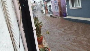 Venedik değil Ayvalık! Turistik ilçede sokaklar göle döndü