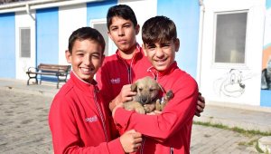 Altınordu'dan 'satın alma sahiplen' çağrısı