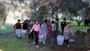 Anne babaları dikmişti, çocukları hasat yaptı