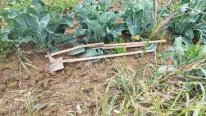 Antik kentte kaçak kazıya suçüstü: 2 gözaltı