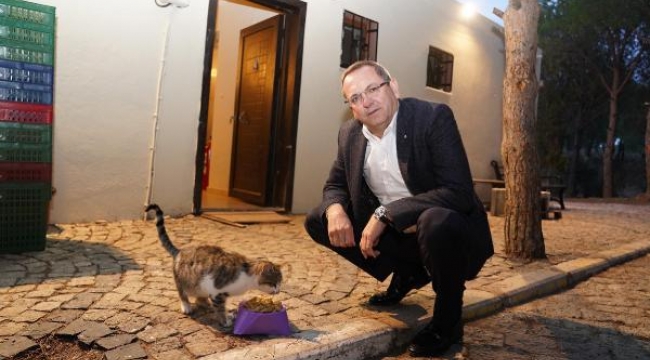 Ayvalık Belediyesi can dostlarının mamasını üretiyor