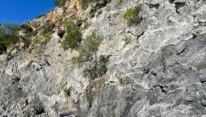 Balık tutarken kayalıktan düşerek hayatını kaybetti