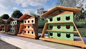 Bayraklı'da bazı noktalara sokak kedileri için 30 ev yapılacak