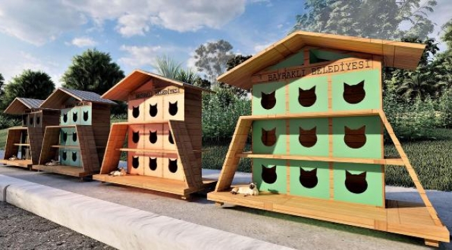 Bayraklı'da bazı noktalara sokak kedileri için 30 ev yapılacak