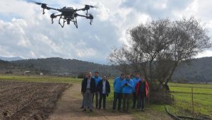 Belediye, Bodrum'da 50 hektar tarım arazisini dronla ilaçladı