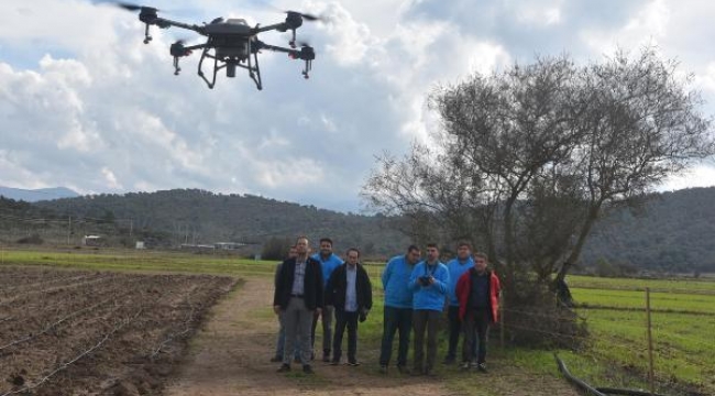 Belediye, Bodrum'da 50 hektar tarım arazisini dronla ilaçladı