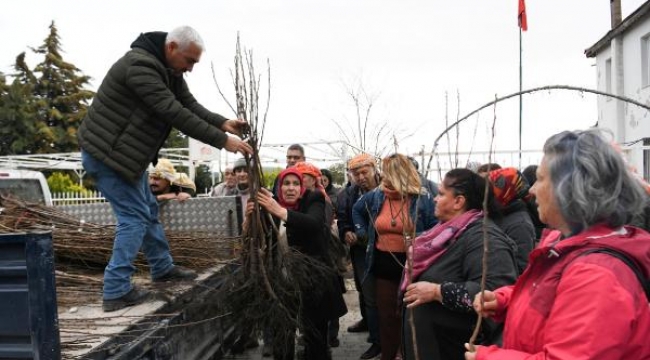 Belediye Bornovalı çiftçiye 10 bin fidan dağıttı, yüzleri güldürdü