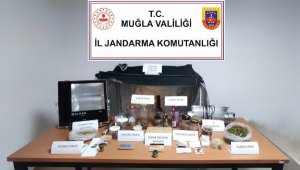 Bodrum'da uyuşturucuya 1 gözaltı