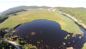 Buldan'da 21 bin yıl öncesine ait fosil zeytin polenlerine rastlandı