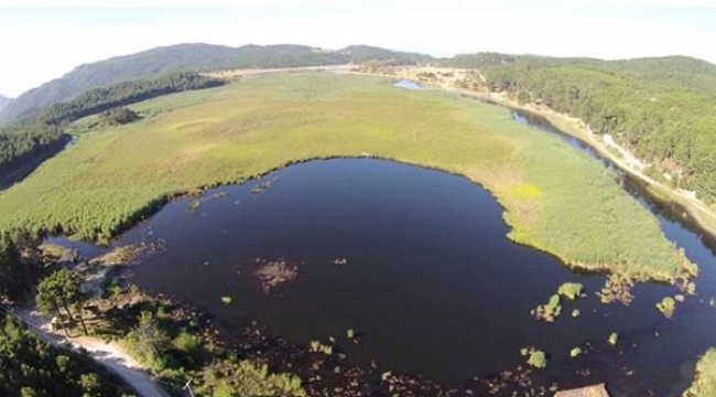 Buldan'da 21 bin yıl öncesine ait fosil zeytin polenlerine rastlandı