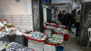 Çanakkale'de balık tezgahları bu kez çinekopla doldu