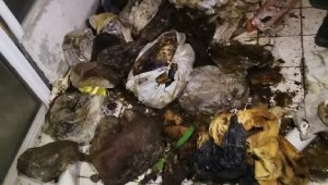 Dehşet evinin sahibi akıl hastanesine sevk edildi