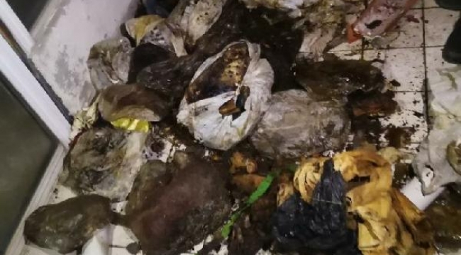 Dehşet evinin sahibi akıl hastanesine sevk edildi