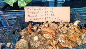 Dokunması 15, koklaması 20 lira