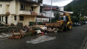 Evinde kedi-köpek ölüleri bulundu, işte ifadesi