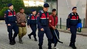 Fotokapan, bu kez hırsızları yakaladı