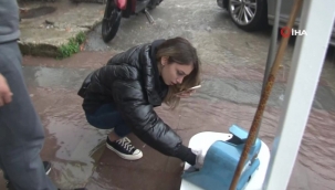 İzmir'de sele kapılan lağım faresine kalp masajı!