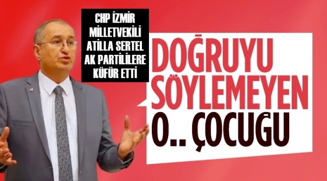 İzmir milletvekili küfür etti, kınama cezası aldı