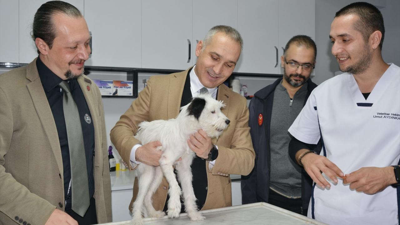 Kayıp Golgi, 250 km uzakta çipi sayesinde bulundu