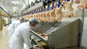 Keskinoğlu Tavukçuluk satışa çıkarıldı