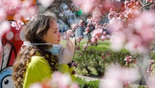 Korona sonrası koku kaybının nedeni