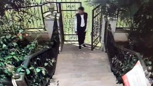 Marmaris'te evden iki köpek çalınma anı kamerada!