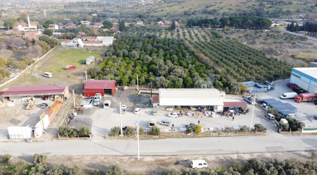Menemen Belediyesi, zeytinyağı fabrikasını ekonomiye kazandırdı