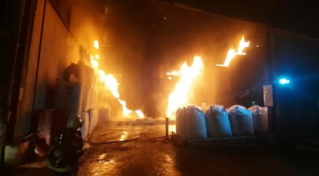 Milas'ta balık yemi fabrikasında yangın