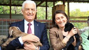  Muğla Büyükşehir Belediyesi'ne ödül