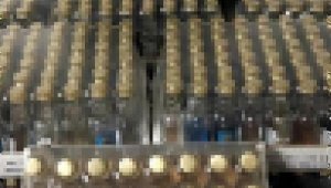 Muğla'da 840 şişe sahte içki ele geçirildi