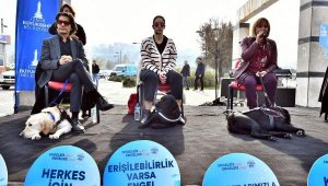 Rehber köpekler toplu ulaşımda