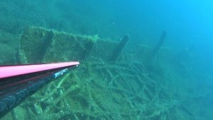 Rekortmen dalgıç, batıkta 20 kiloluk akya avladı