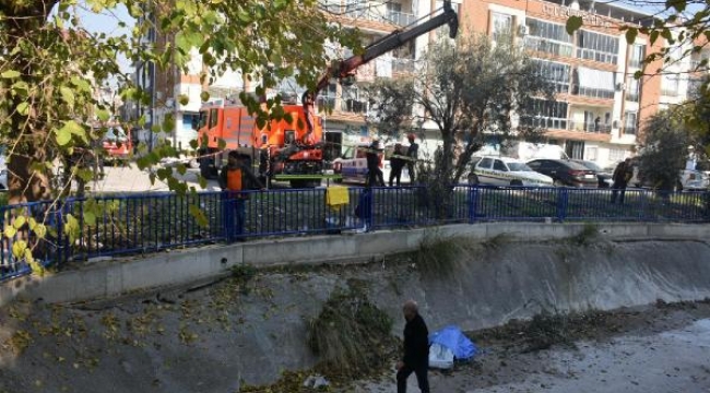 Zeytin toplamak için çıktığı ağaçtan düşüp, öldü