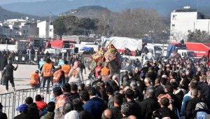 7. Geleneksel Edremit Deve Güreşleri Festivali'ne yoğun ilgi