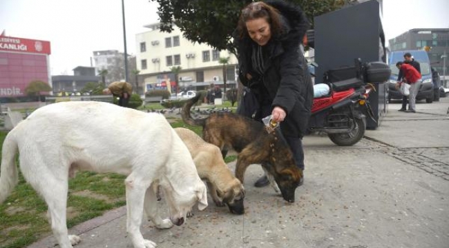 Balıkesir'de mamamatikler devreye girdi! 5 atık şişe getir mama al