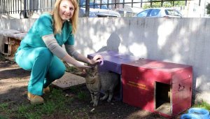 Bayraklı Belediyesi'nden can dostlara mama ve su dağıtımı