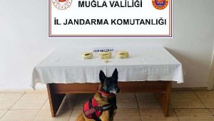 Bodrum'da bir sürücü bir kilo esrarla yakalandı