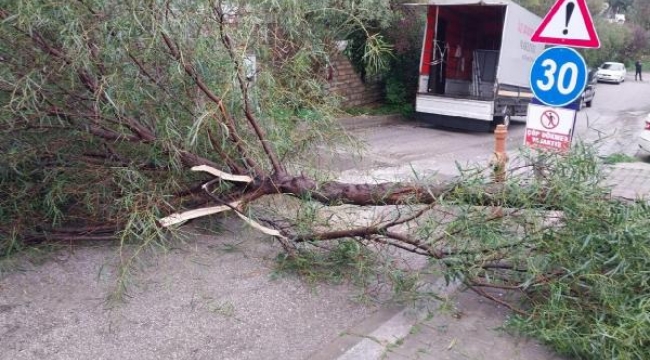 Bodrum'da fırtına hayatı olumsuz etkiledi