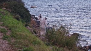 Bodrum'da yarım ceset kıyıya vurdu