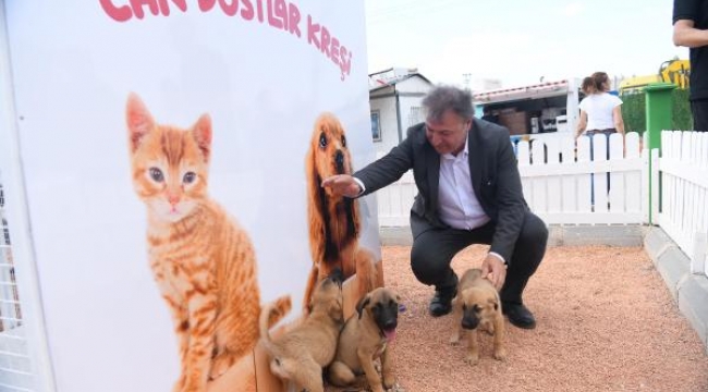 Bornova Belediyesi 1 yılda 15 bin sokak hayvanını tedavi ettirdi
