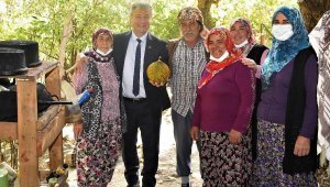 Bornova'da geçen yıl toplam 7 milyon tohum, fide ve fidan dağıtıldı