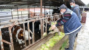 Buca Belediyesi yem üretiminde kapasiteyi günde 5 tona çıkarttı