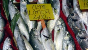 Çanakkale'de 'denizin prensi' lüferin kilosu tezgahta 400 lira