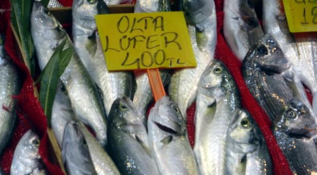 Çanakkale'de 'denizin prensi' lüferin kilosu tezgahta 400 lira