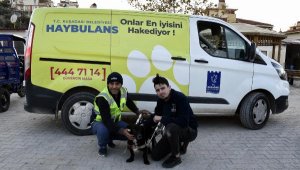 Fizik tedavi sonrası yürüteçle yürümeye başlayan 'Karam', yuvasına kavuştu